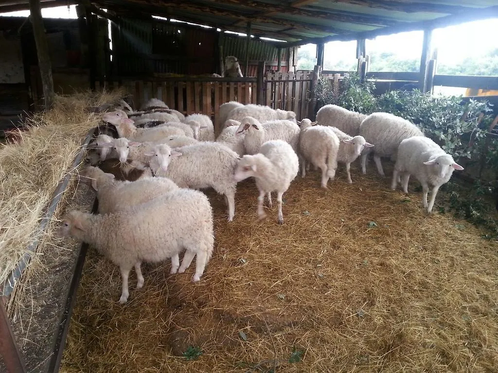 Bauernhof Le Sughere Padru