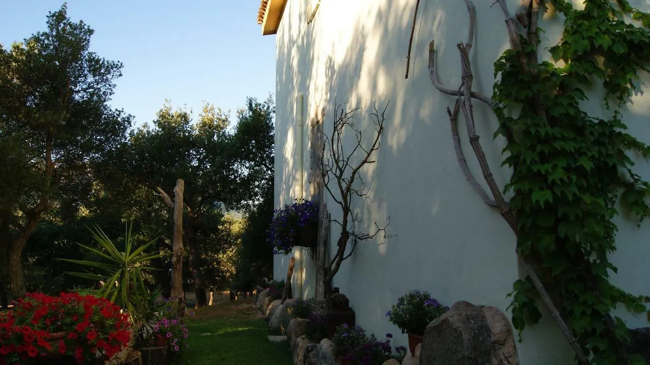 Le Sughere Padru